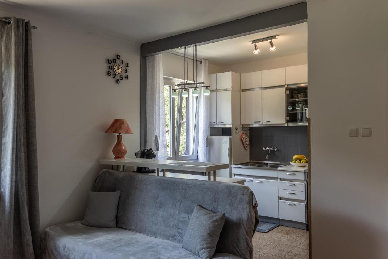 Apartman Danijela Zagorje Exterior foto